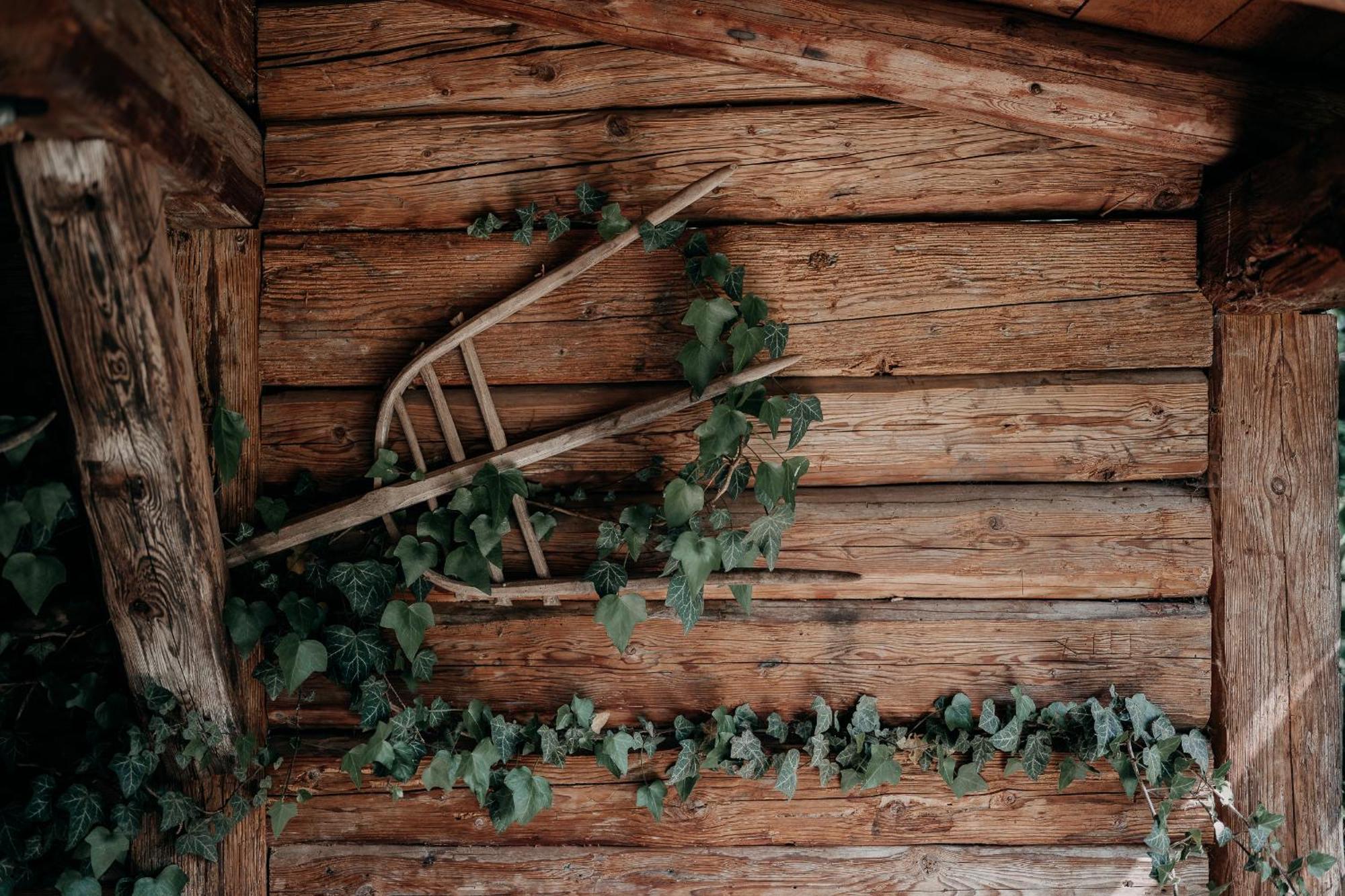 Alpenappartements Cristall Ehrwald Exteriér fotografie